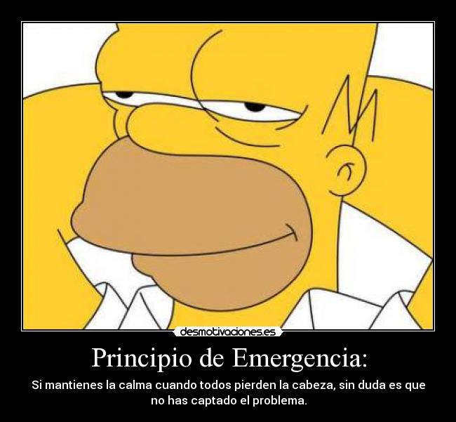 Principio de Emergencia: -