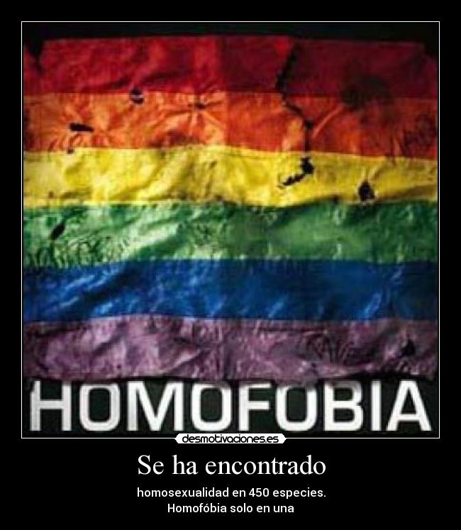 Se ha encontrado - homosexualidad en 450 especies.
Homofóbia solo en una