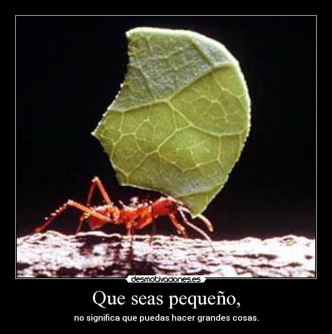 Que seas pequeño, -