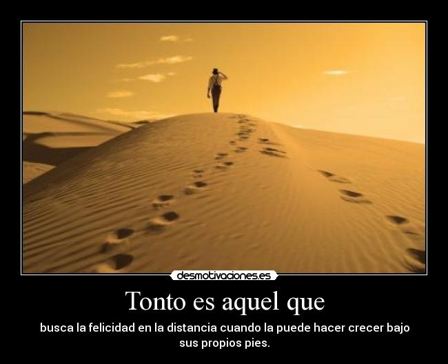 Tonto es aquel que -