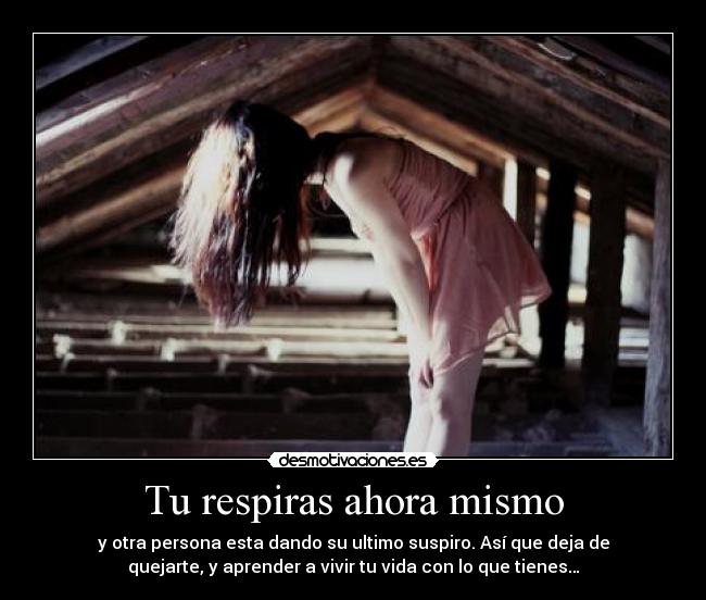 carteles desmotivaciones desmotivaciones