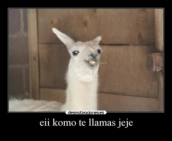 eii komo te llamas jeje -