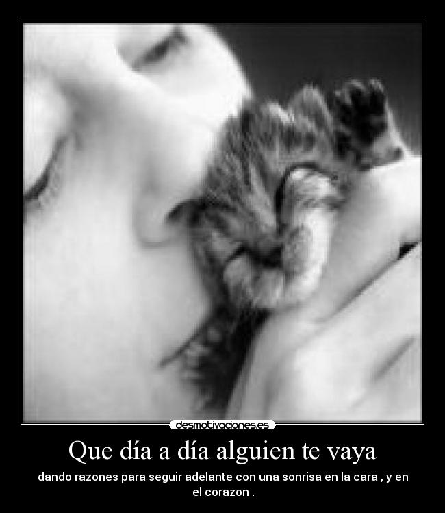 carteles ss1996 desmotivaciones