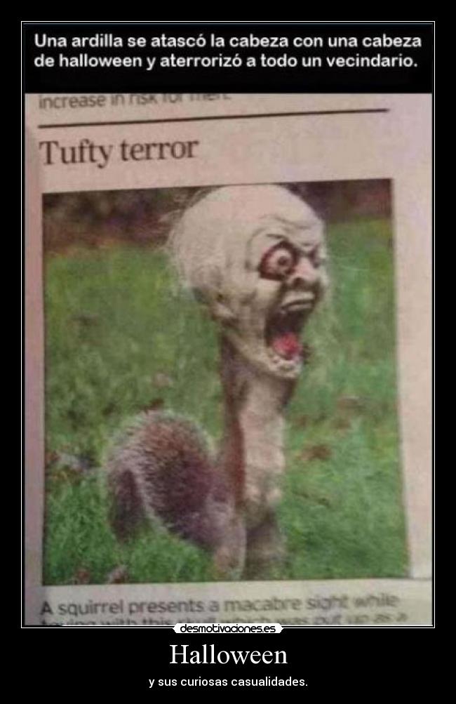 carteles halloween vecindario cabeza adorno ardilla desmotivaciones