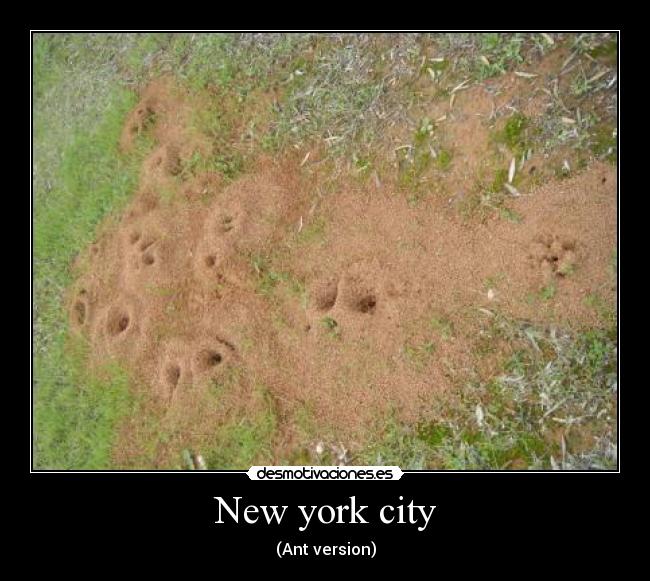 New york city - (Ant version)