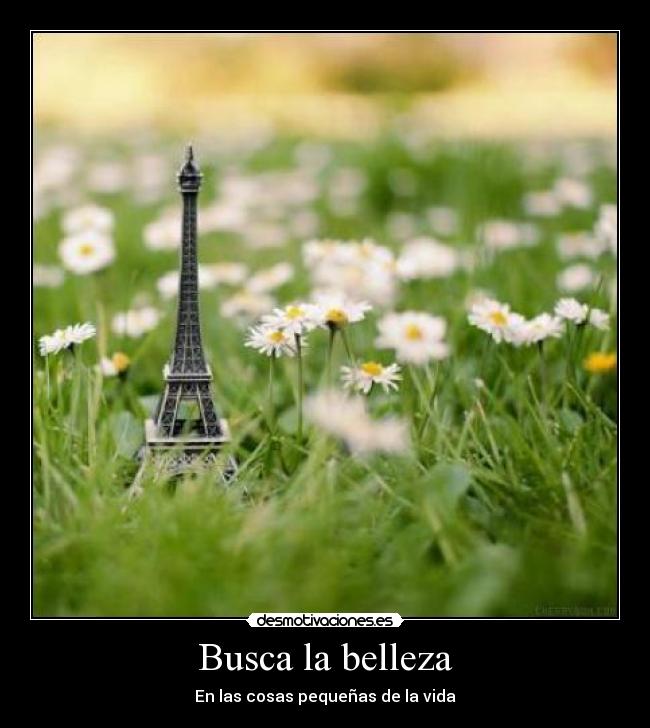 Busca la belleza -