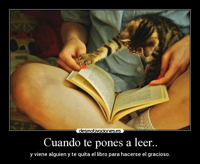 Cuando te pones a leer.. -