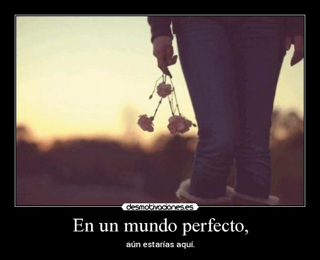 En un mundo perfecto, -