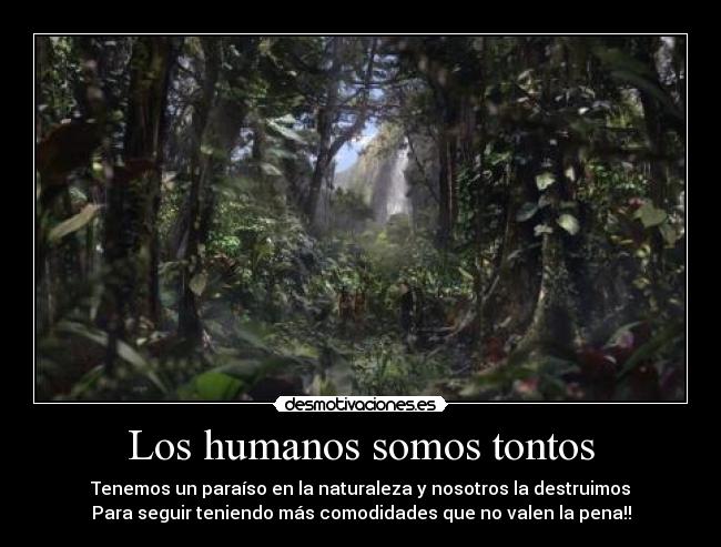 Los humanos somos tontos - Tenemos un paraíso en la naturaleza y nosotros la destruimos
Para seguir teniendo más comodidades que no valen la pena!!