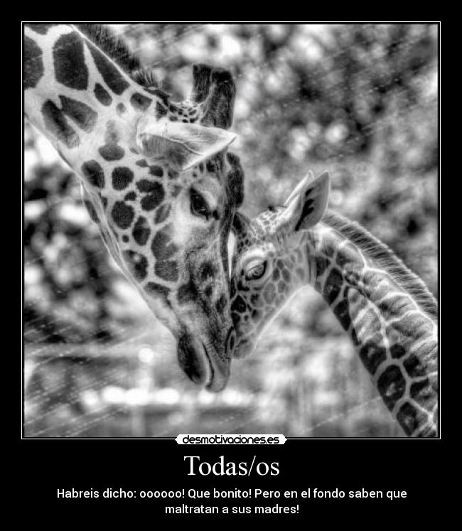 carteles desmotivaciones