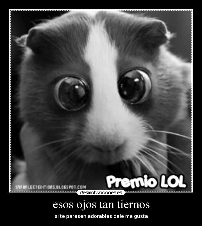 carteles apn desmotivaciones