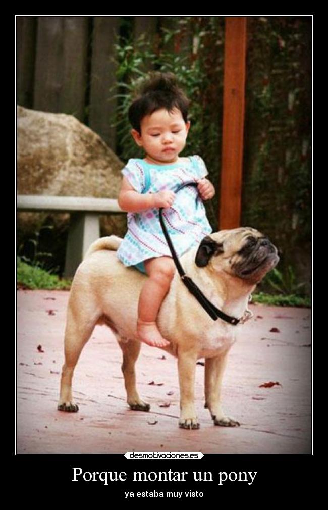 Porque montar un pony -