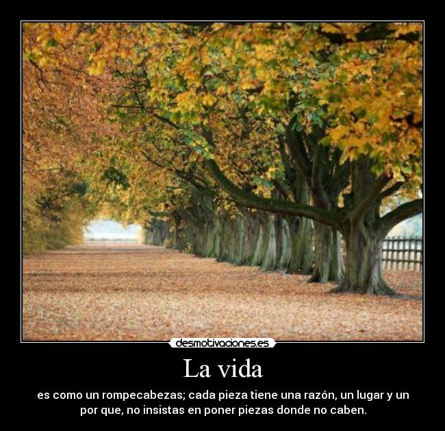 La vida -