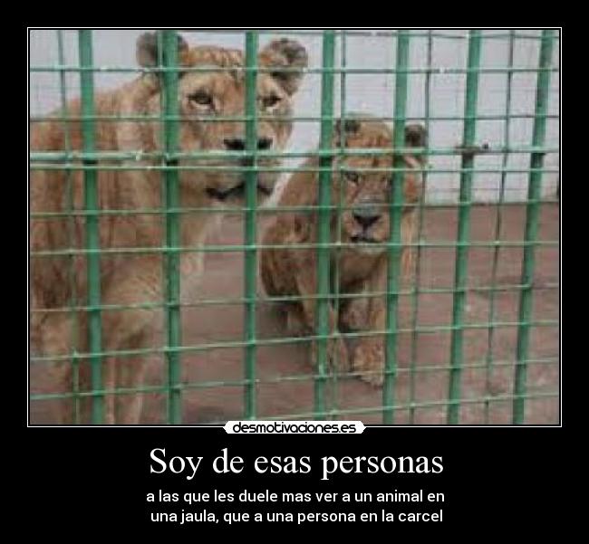 Soy de esas personas - a las que les duele mas ver a un animal en
 una jaula, que a una persona en la carcel