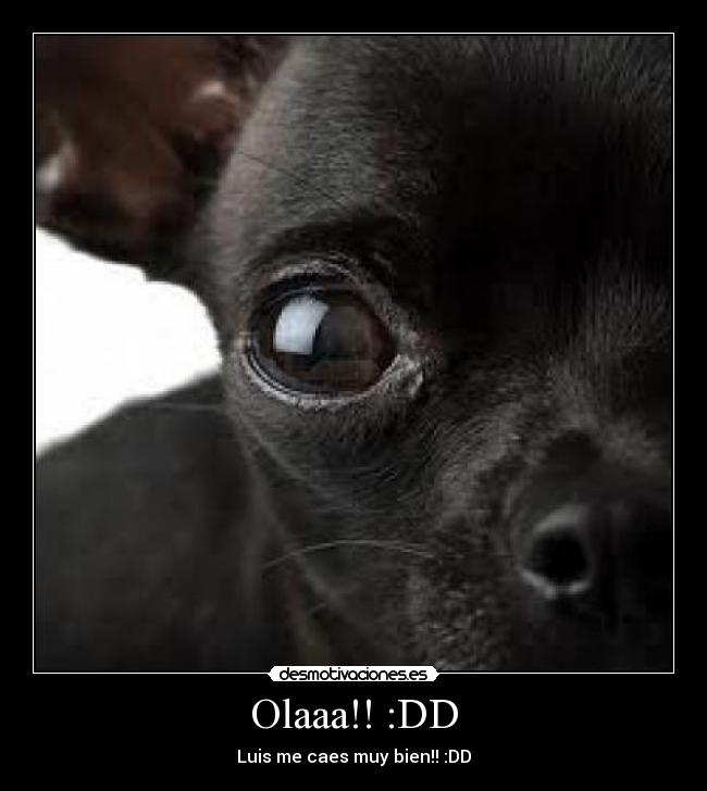 carteles violet27 desmotivaciones