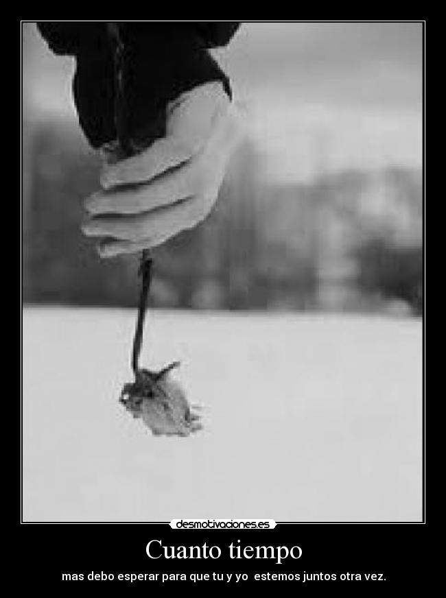 Cuanto tiempo - mas debo esperar para que tu y yo estemos juntos otra vez.