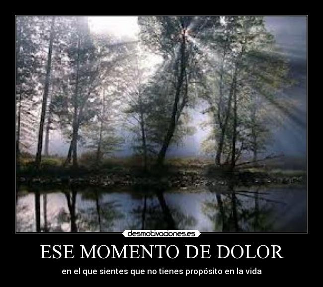 ESE MOMENTO DE DOLOR -