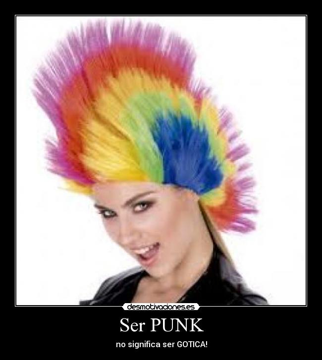 Ser PUNK -