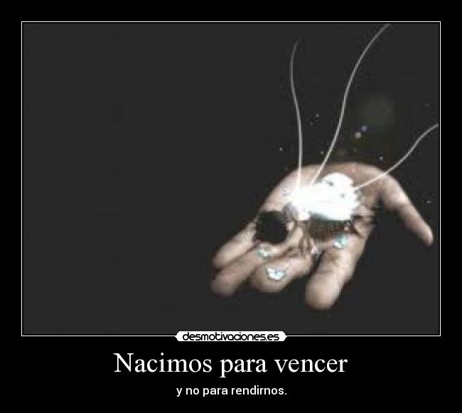 Nacimos para vencer -