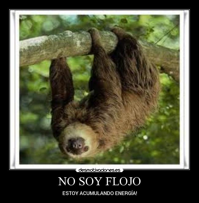 NO SOY FLOJO - ESTOY ACUMULANDO ENERGÍA!