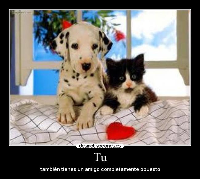 Tu - también tienes un amigo completamente opuesto