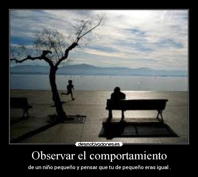 carteles observar desmotivaciones