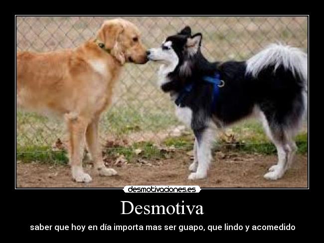 carteles proricckyy desmotivaciones