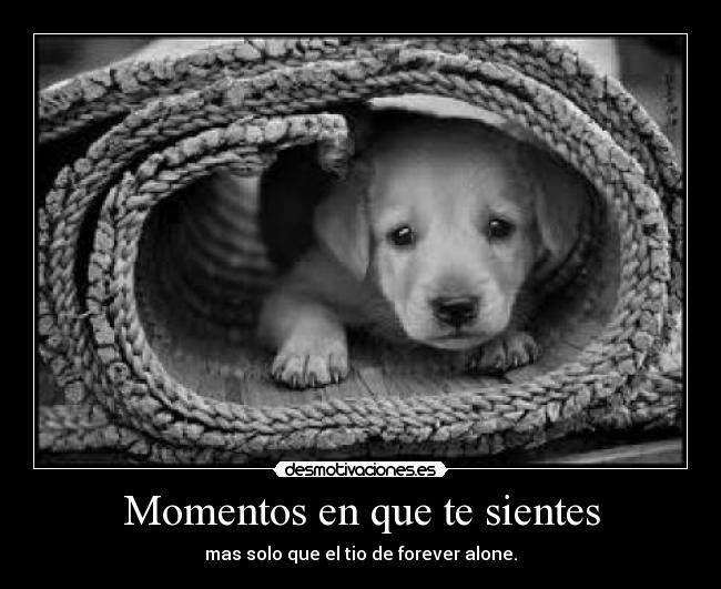 Momentos en que te sientes - 