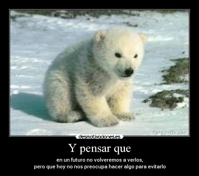 Y pensar que - en un futuro no volveremos a verlos,
pero que hoy no nos preocupa hacer algo para evitarlo