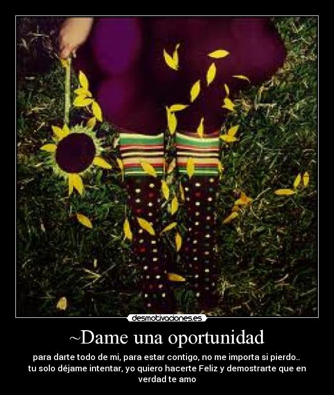 ~Dame una oportunidad - para darte todo de mi, para estar contigo, no me importa si pierdo.. 
tu solo déjame intentar, yo quiero hacerte Feliz y demostrarte que en verdad te amo