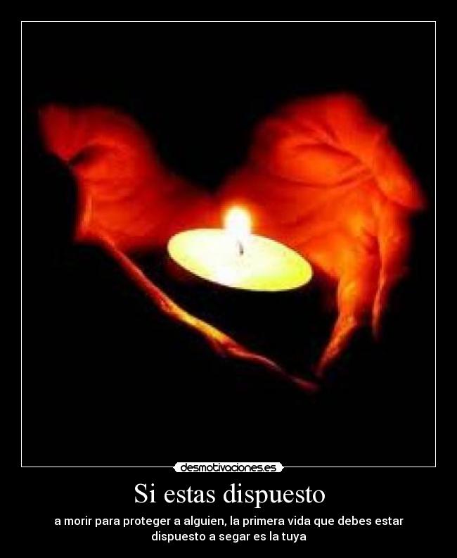 Si estas dispuesto - a morir para proteger a alguien, la primera vida que debes estar
dispuesto a segar es la tuya