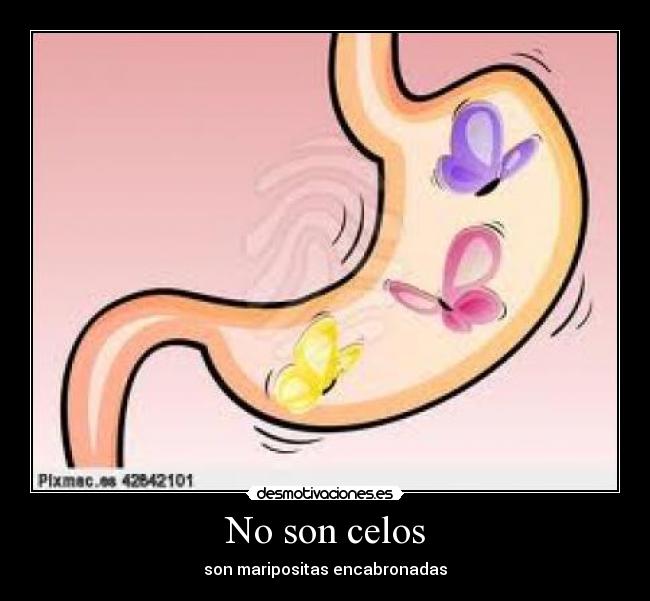 No son celos - son maripositas encabronadas