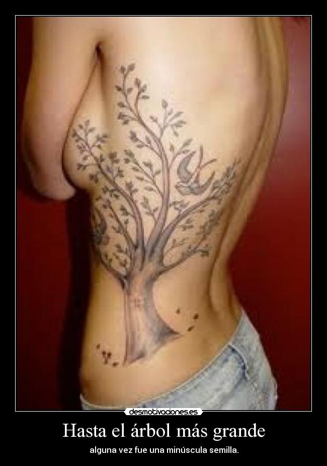 Hasta el árbol más grande - 