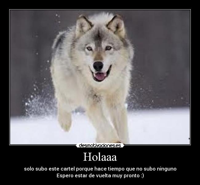 Holaaa -