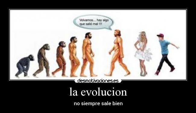 la evolucion -