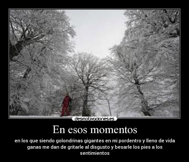 En esos momentos - en los que siendo golondrinas gigantes en mi pordentro y lleno de vida
ganas me dan de gritarle al disgusto y besarle los pies a los
sentimientos