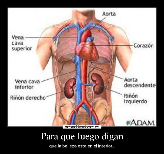 Para que luego digan -