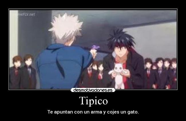 Tipico -