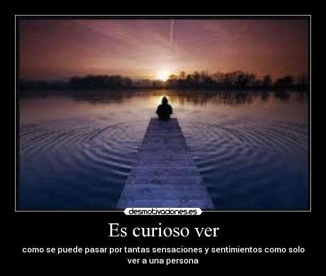 Es curioso ver - como se puede pasar por tantas sensaciones y sentimientos como solo
ver a una persona