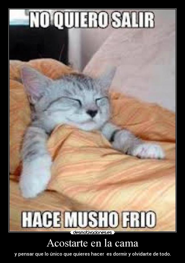 Acostarte en la cama -