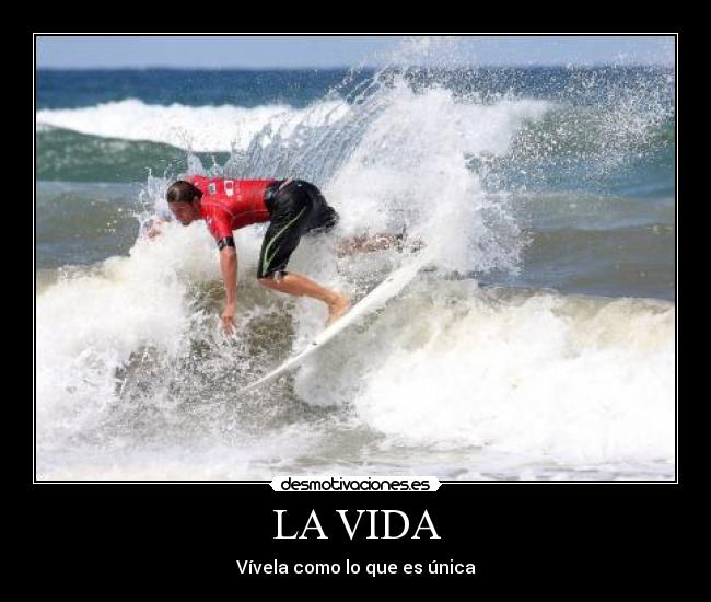 carteles vida vive disfruta desmotivaciones