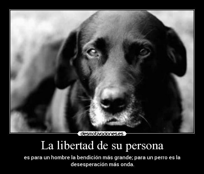 La libertad de su persona -