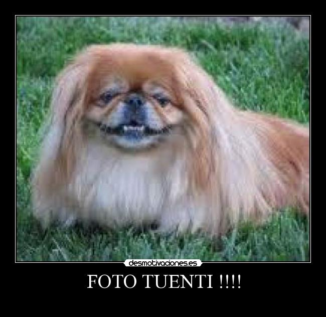 FOTO TUENTI !!!! - 