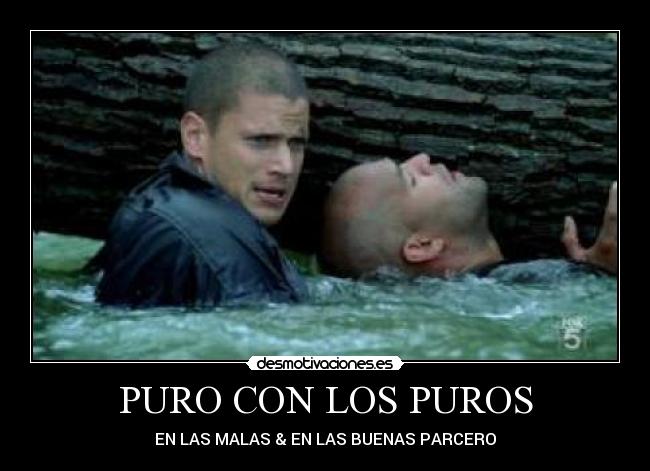 PURO CON LOS PUROS -
