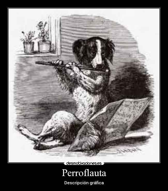 Perroflauta - Descripción gráfica