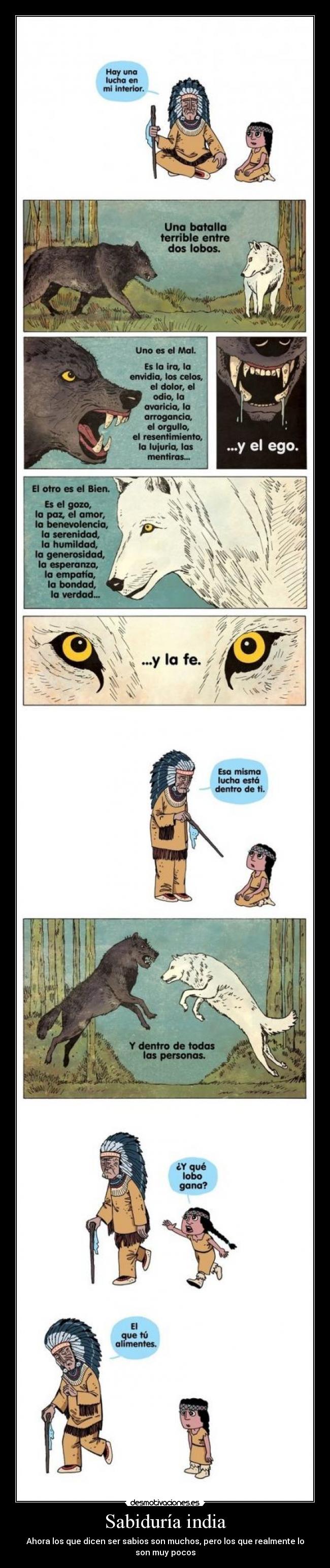 carteles sabiduria desmotivaciones