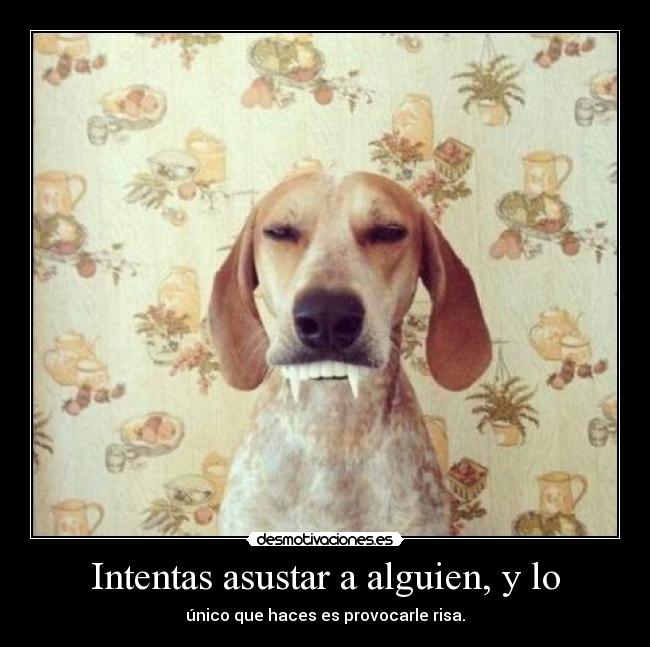 Intentas asustar a alguien, y lo - único que haces es provocarle risa.