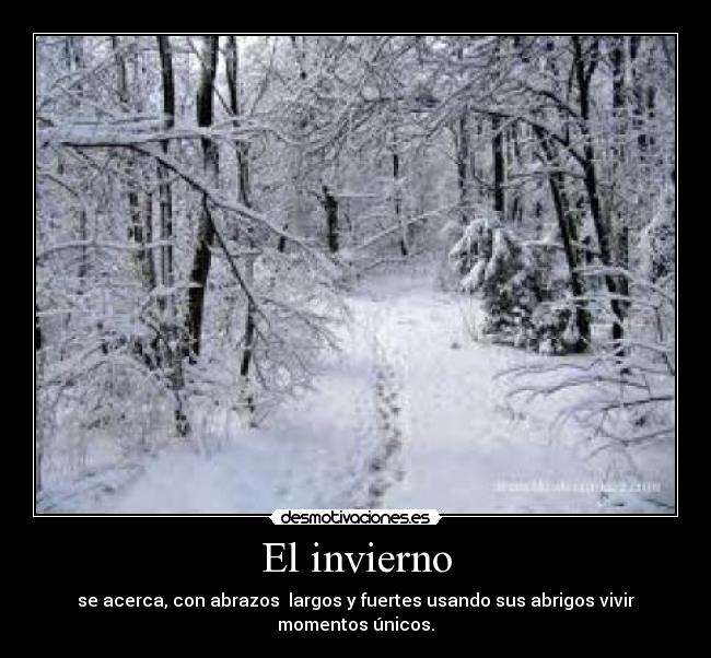 carteles invierno desmotivaciones