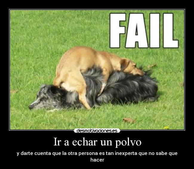 carteles eften perrosmolanmasquegatos desmotivaciones