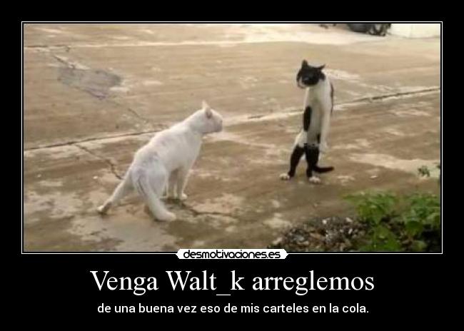 Venga Walt_k arreglemos - 